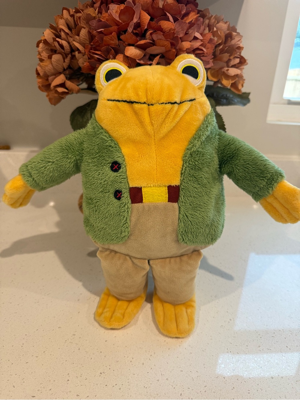 Arnold Lobel’s TOAD 13” Plush Soft Stuffed Frog & Toad  Special Edition Kohls